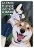 Images 1 : La fin du monde avec mon Shiba Inu - Tome 03 - Livre (Manga)