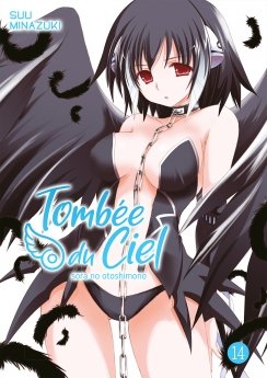 image : Tombe du Ciel - Tome 14 - Livre (Manga)
