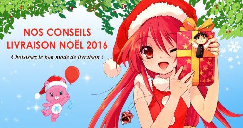 Livraison Noël 2016 : nos conseils