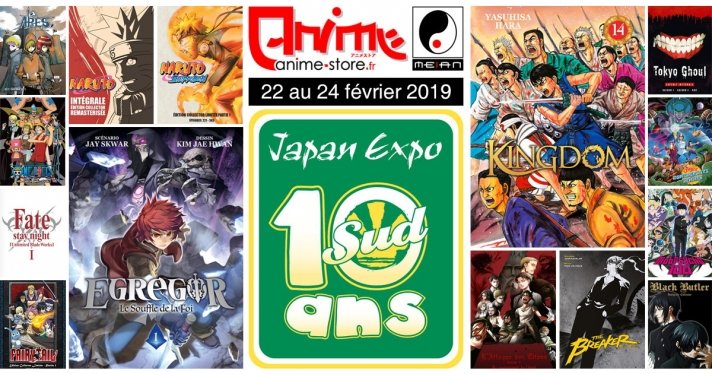 Venez fêter les 10 ans de Japan Expo Sud avec Anime Store et Meian du 22 au 24 février 2019