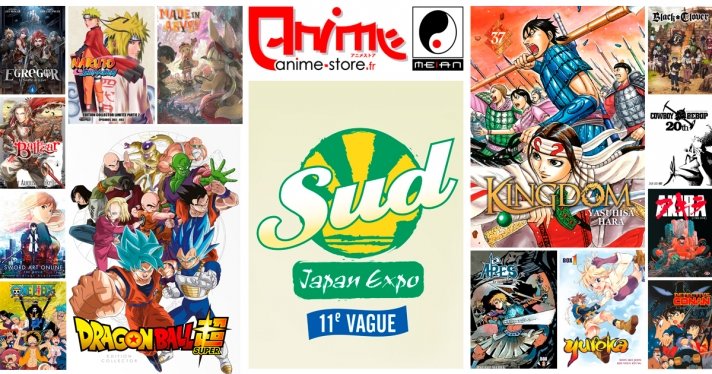 Retrouvez Anime Store à la Japan Expo Sud pour 3 jours exceptionnels !