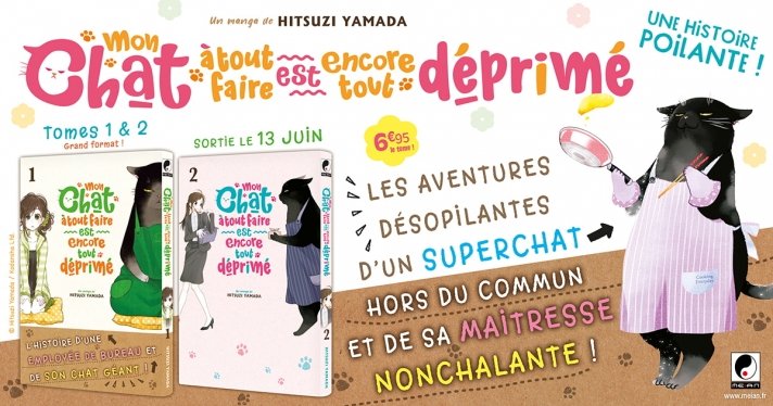 Nouvelle licence Meian : Mon chat à tout faire est encore tout déprimé