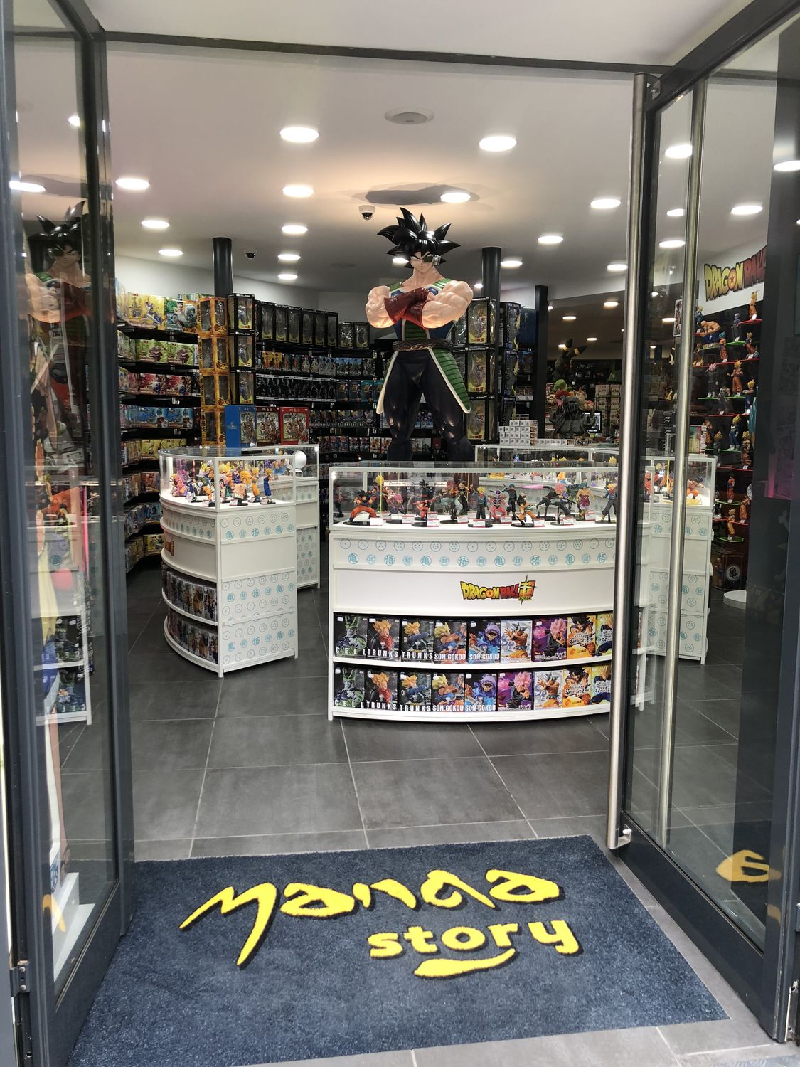 magasin de figurine manga