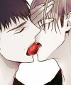 Choco Strawberry Vanilla
