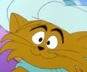 Entrechats - Images 3