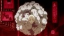 Shakugan No Shana - Images 6