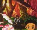 Hunter X Hunter - Images 2