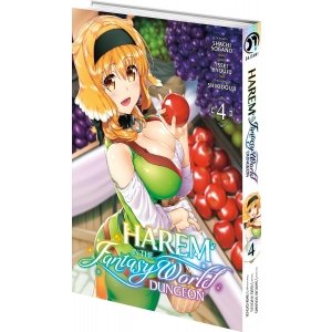 Harem in the Fantasy World Dungeon - Tome 04 - Livre (Manga)