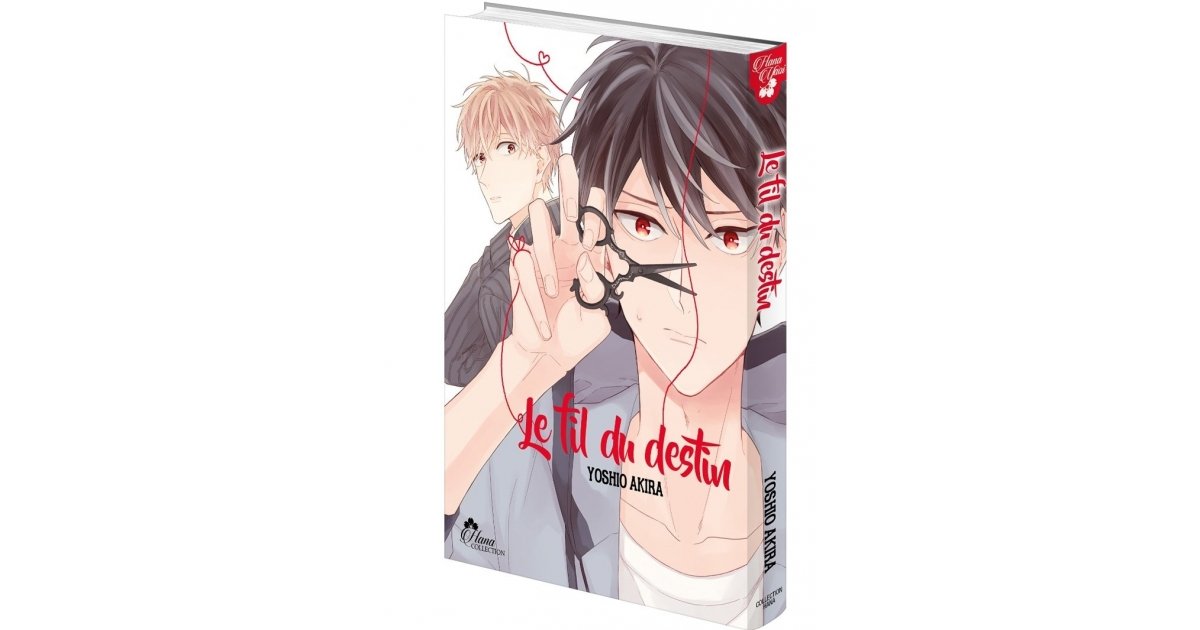 Le fil du destin - Achat Manga Neuf & Occasion | Anime Store