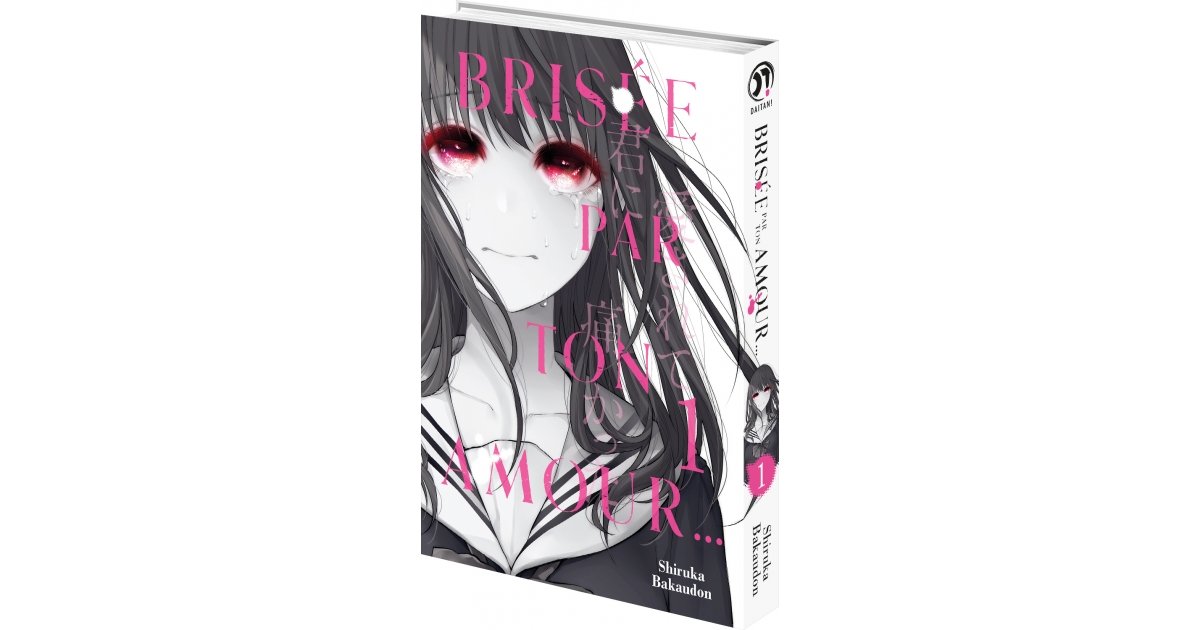 Brisée Par Ton Amour Scan Vf Gratuit