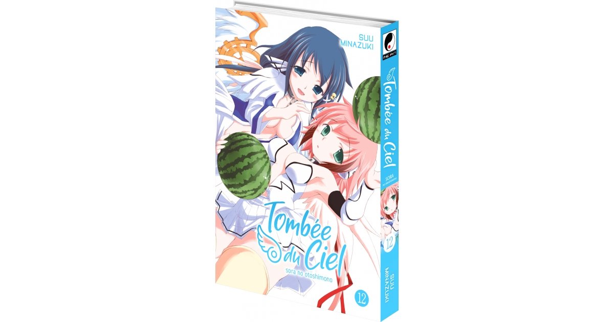 Tombée du Ciel - Tome 12 - Livre (Manga) | Meian : Editeur Manga & Manhwa