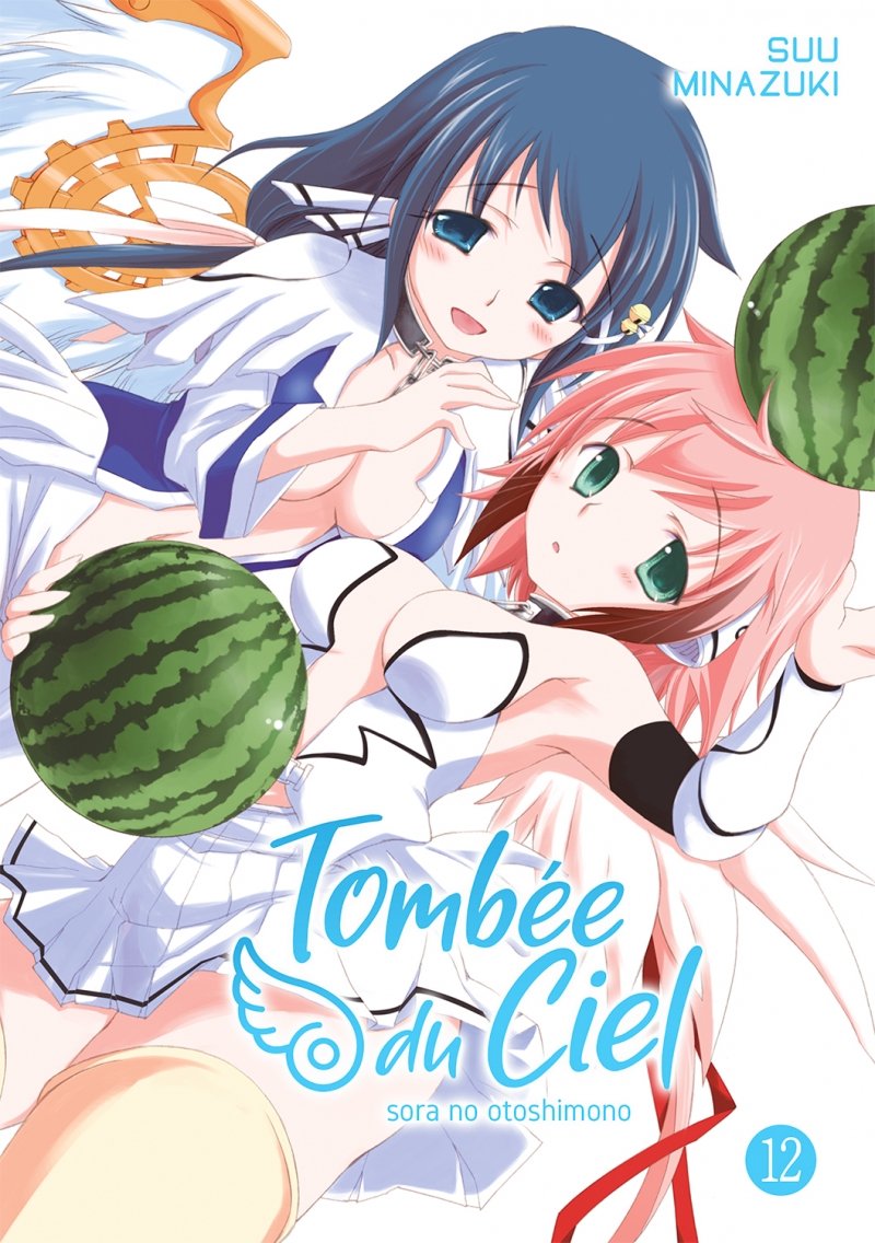 Tombe du Ciel - Tome 12 - Livre (Manga)