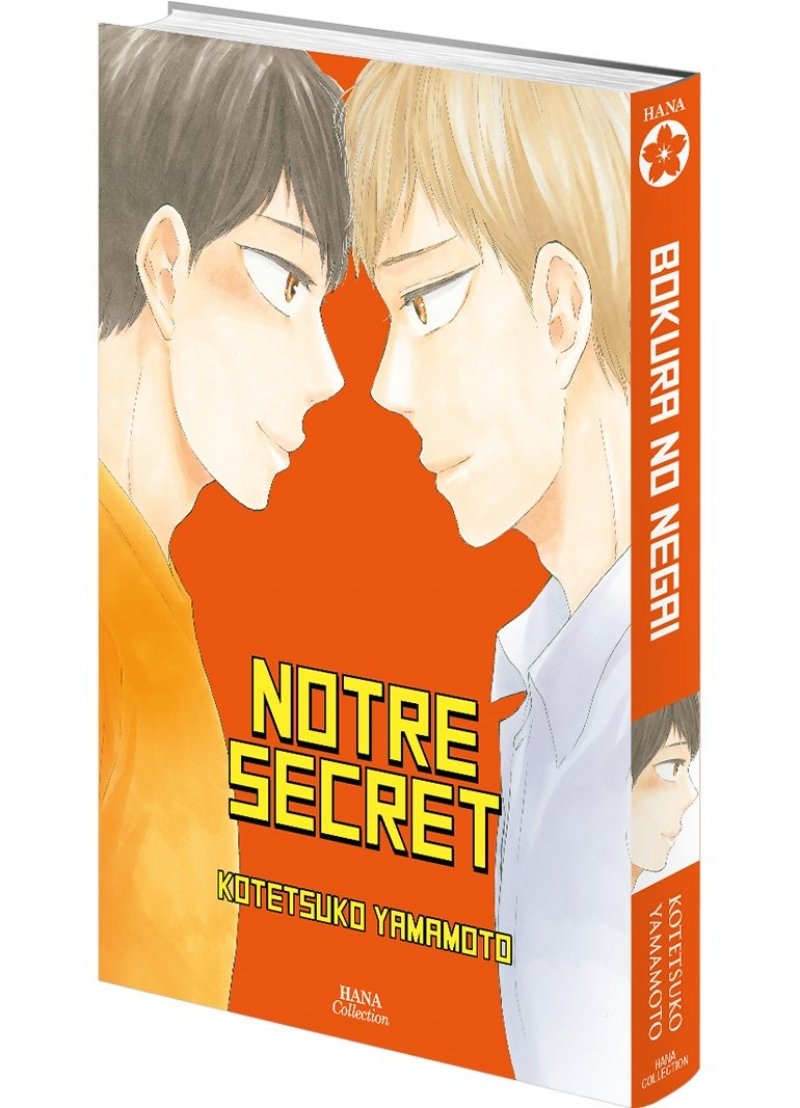 IMAGE 3 : Notre secret - Livre (Manga) - Yaoi - Hana Collection