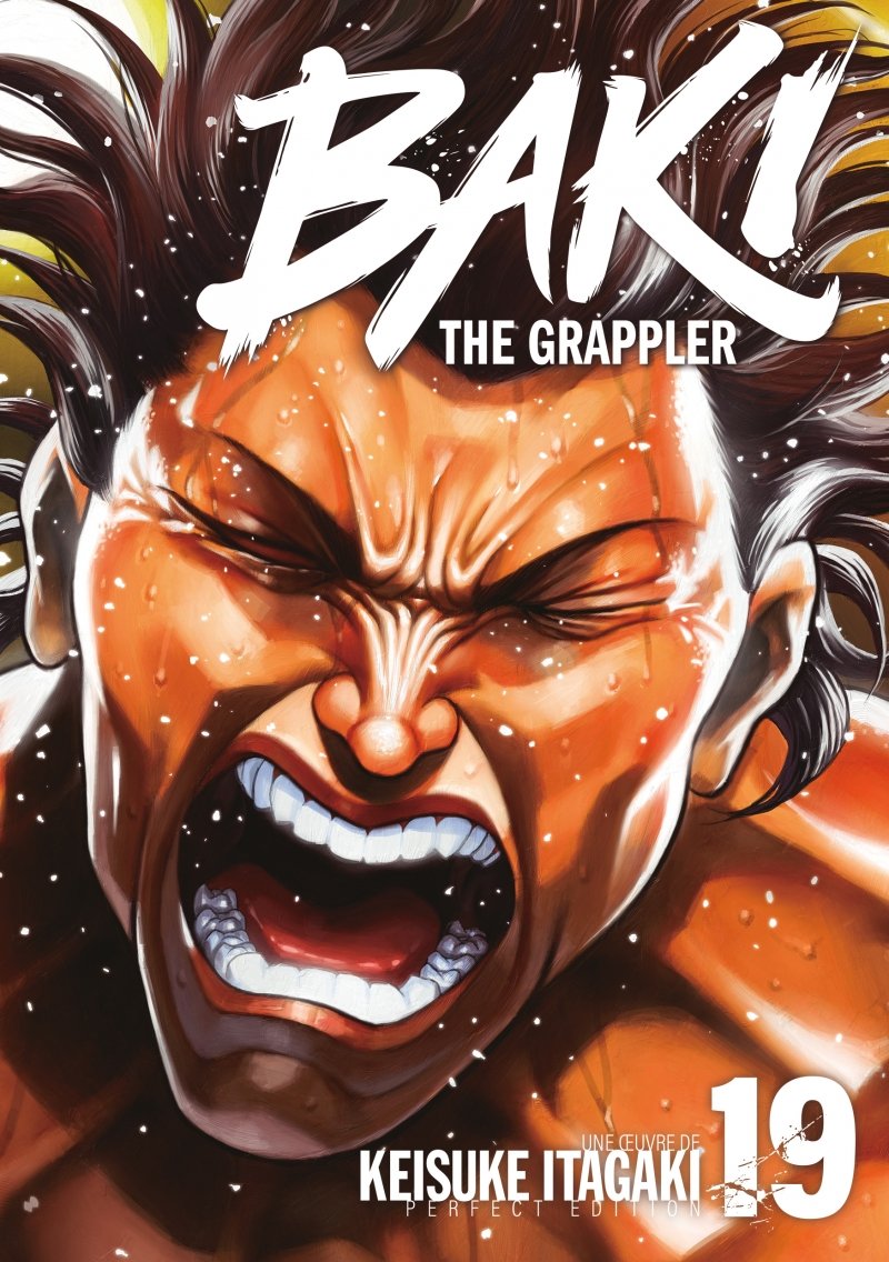Baki the Grappler - Tome 19 - Perfect Edition - Livre (Manga)