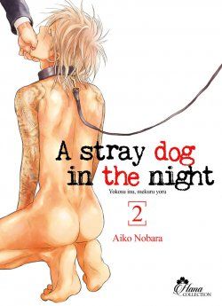 image : Stray Dog in the night - Tome 02 - Livre (Manga) - Yaoi - Hana Collection