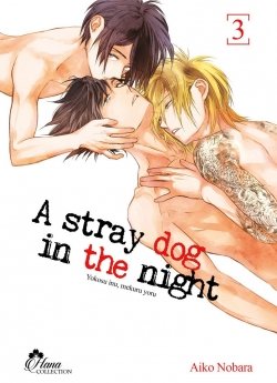 image : Stray Dog in the night - Tome 03 - Livre (Manga) - Yaoi - Hana Collection