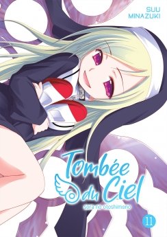 image : Tombe du Ciel - Tome 11 - Livre (Manga)