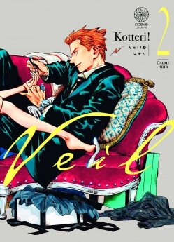 image : Veil - Tome 02 - Livre (Manga)