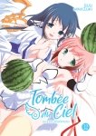 Tombée du Ciel - Tome 12 - Livre (Manga)