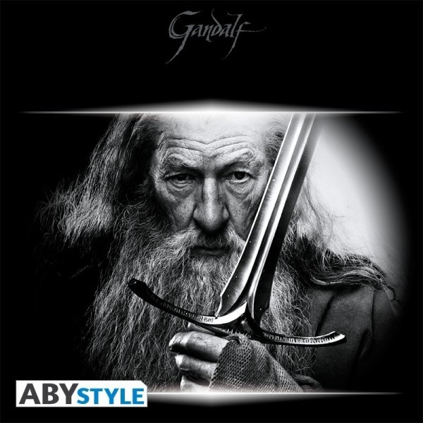 Visuel 2 : Tee Shirt - Gandalf et épée - The Hobbit - Homme - Noir - ABYstyle