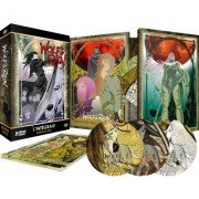 Wolf's Rain - Intégrale - Coffret DVD + 5 Cartes postales - Edition Gold