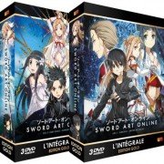 Sword Art Online - Intgrale (Arc 1 et Arc 2) - Pack 2 coffrets DVD - Edition Gold