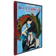 Blue Exorcist : Kyoto Saga (Saison 2) - Partie 1 - Anime Book - DVD