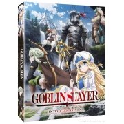 Goblin Slayer - Saison 1 - Coffret DVD