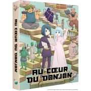 Au Coeur du Donjon - Intgrale - Edition Collector Limite - DVD