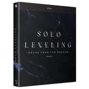 Solo Leveling - Saison 2 - DVD