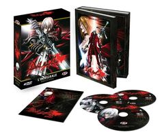 Devil May Cry - Intégrale - Coffret DVD + Livret - Edition Gold - VOSTFR/VF