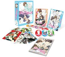 Sekaiichi Hatsukoi - Intégrale + 2 OAV - Edition Collector Limitée - Coffret format A4 Combo Blu-ray + DVD