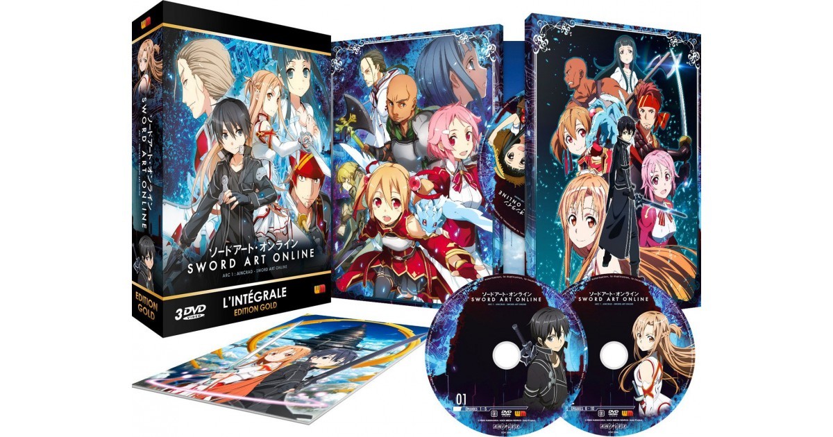 Sword Art Online Arc 1 (SAO) Coffret DVD + Livret Edition Gold