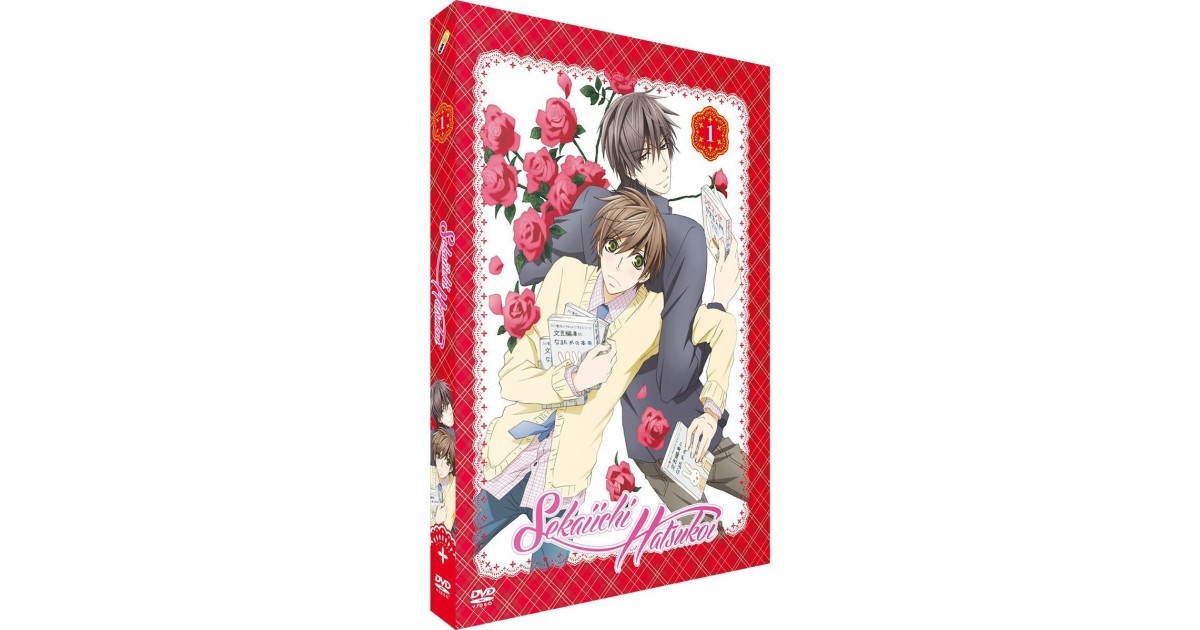 Sekaiichi Hatsukoi Vol 9 Vostfr