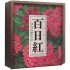 Images 2 : Miss Hokusai - Film - Edition Ultimate - DVD + Blu-ray