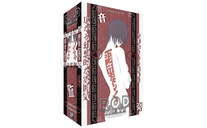 IMAGE 2 : R.O.D TV (Read or Die) - Intégrale - Coffret DVD - Collector