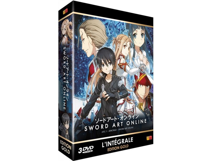 IMAGE 2 : Sword Art Online - Arc 1 (SAO) - Coffret DVD + Livret - Edition Gold