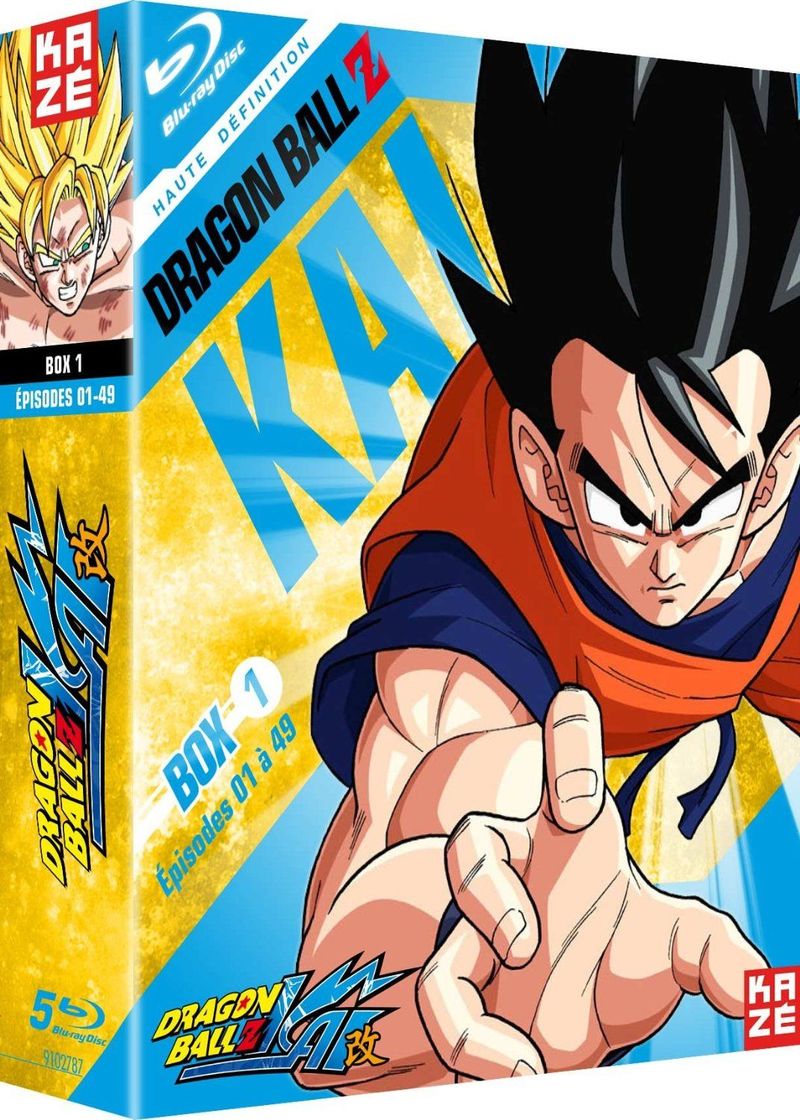 Dragon Ball Z et GT Intégrale 20 Films et OAV Pack 2 Coffrets (10