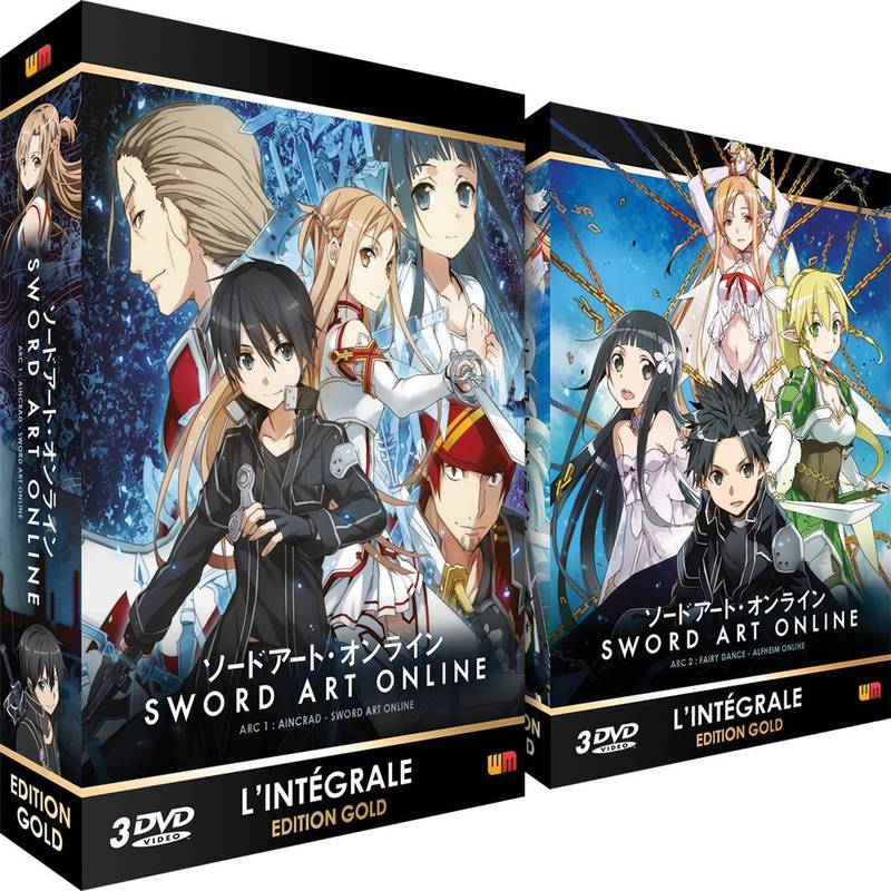 IMAGE 2 : Sword Art Online - Intégrale (Arc 1 et Arc 2) - Pack 2 coffrets DVD - Edition Gold