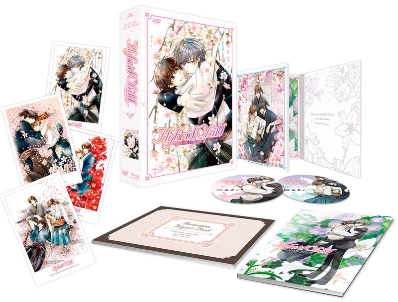 Hybrid Child - Intégrale - Edition Collector Limitée - Coffret format A4 Combo DVD + Blu-ray
