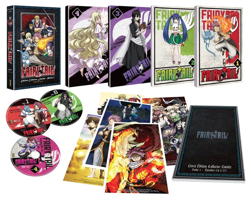 Fairy Tail - Partie 2 (Saisons 5  6) - Edition Collector Limite - Coffret A4 DVD - 102 Eps.