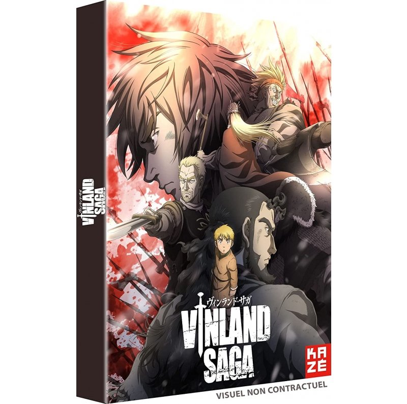 IMAGE 2 : Vinland Saga - Intégrale - Coffret DVD