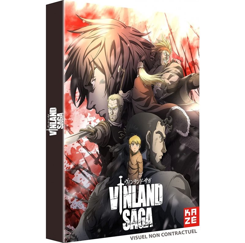 IMAGE 2 : Vinland Saga - Saison 1 - Coffret DVD