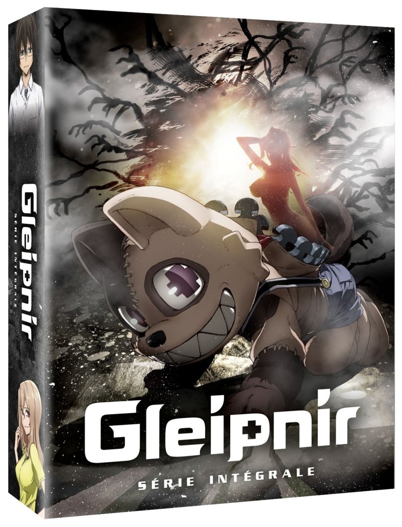 Gleipnir - Saison 1 - Coffret DVD