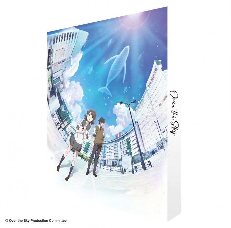 IMAGE 2 : Over the Sky - Film - Edition Collector - Coffret Combo Blu-ray + DVD