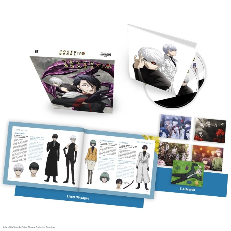 IMAGE 3 : Tokyo Ghoul:re - Intégrale - Edition Collector - Coffret DVD