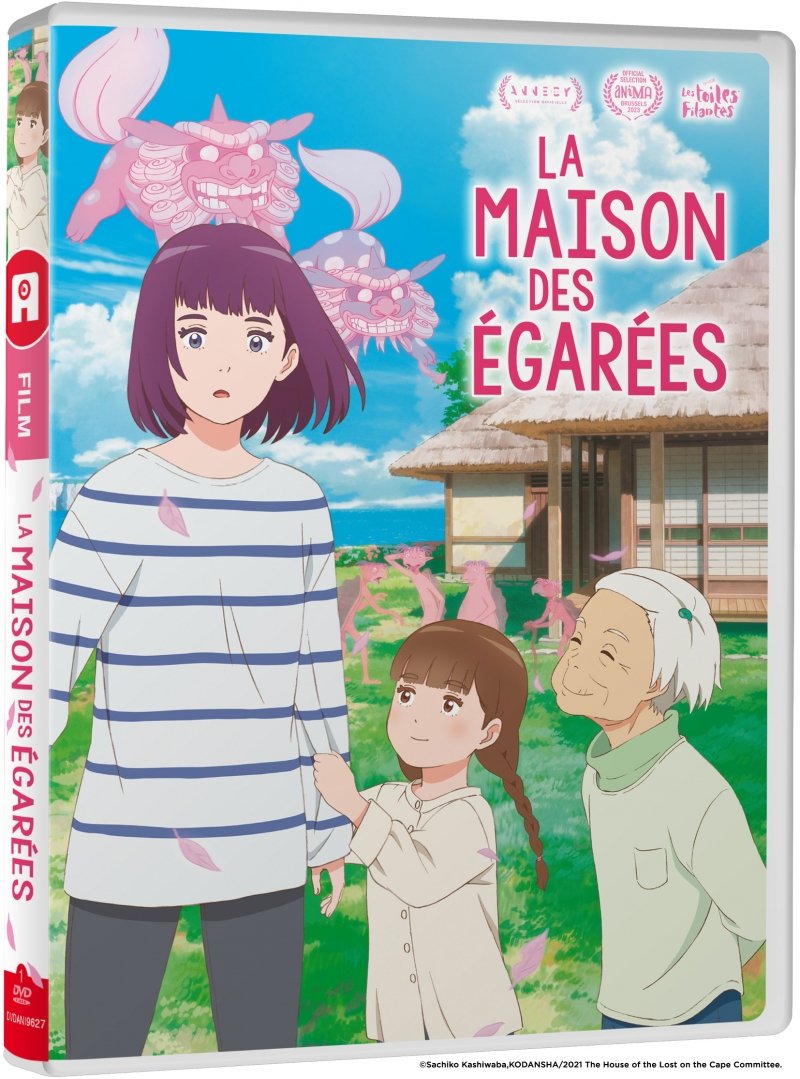 La Maison des gares - Film - DVD