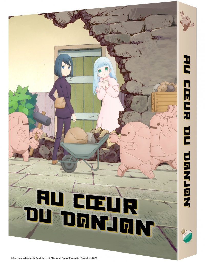 IMAGE 2 : Au Coeur du Donjon - Intgrale - Edition Collector Limite - DVD