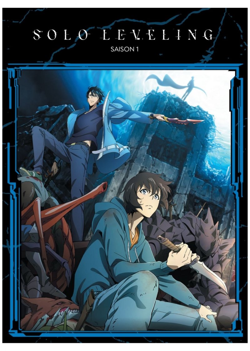IMAGE 2 : Solo Leveling - Saison 1 - DVD