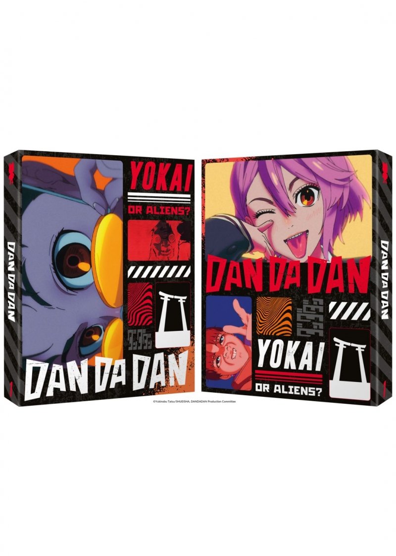 IMAGE 2 : DanDaDan - Saison 1 - dition Collector - DVD